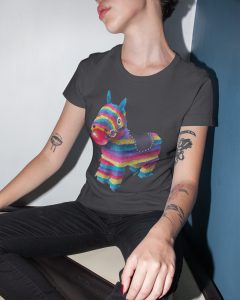 pinata_model2